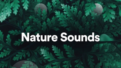 8 ứng dụng tốt nhất để lắng nghe âm thanh tự nhiên trên iPhone, iPad bạn nên thử