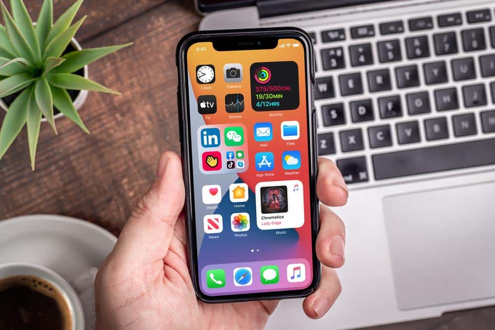 Người dùng iOS 14.2 Beta liên tục nhận được lỗi thông báo bản cập nhật mới