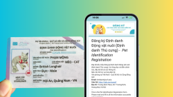Cách đăng ký định danh thú cưng dễ thương