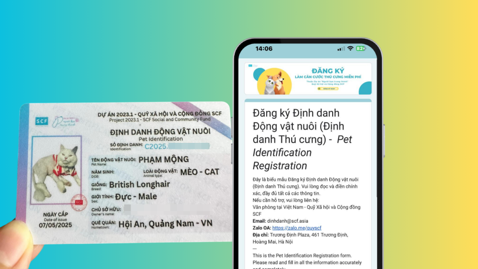 Cách đăng ký định danh thú cưng dễ thương