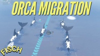 Cách hoàn thành sự kiện Orca Migration trong Fisch Roblox