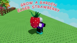 Cách nhận Elder Strawberry trong Grow a Garden