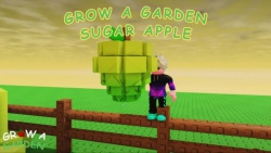 Cách nhận Sugar Apple trong Grow a Garden
