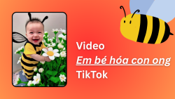 Cách tạo video em bé hóa con ong gây sốt TikTok