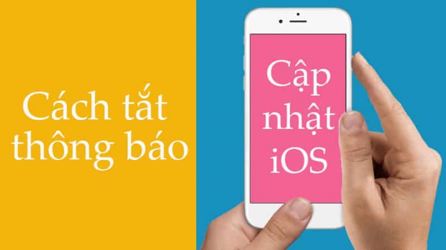 Cách tắt thông báo cập nhật iOS trên iPhone để tránh phiền phức đơn giản