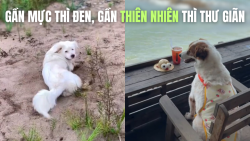 Giải mã trend Gần mực thì đen, gần thiên nhiên thì thư giãn