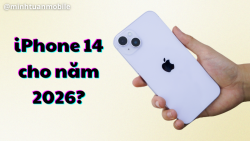 Có nên mua iPhone 14 trong năm 2026? Nên chọn dòng nào?