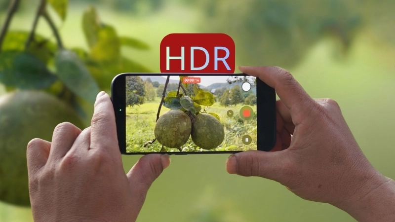 HDR là gì và hướng dẫn phân biệt các tiêu chuẩn HDR10 Dolby Vision cùng mẹo sử dụng