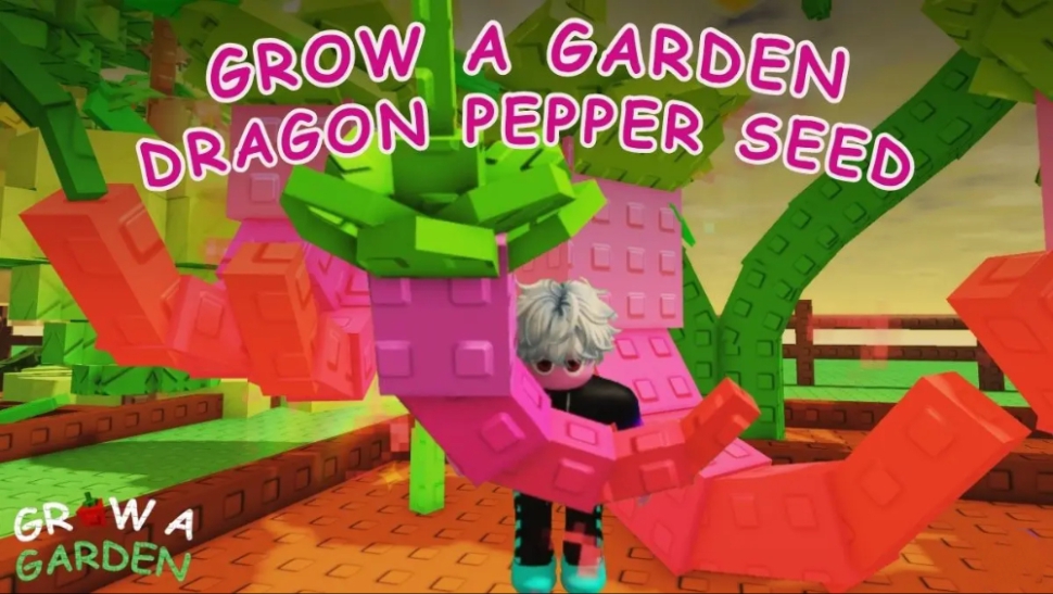 Làm sao để sở hữu Dragon Pepper trong Grow a Garden?