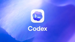 OpenAI tặng lượt reset giới hạn Codex miễn phí khi giới thiệu bạn bè