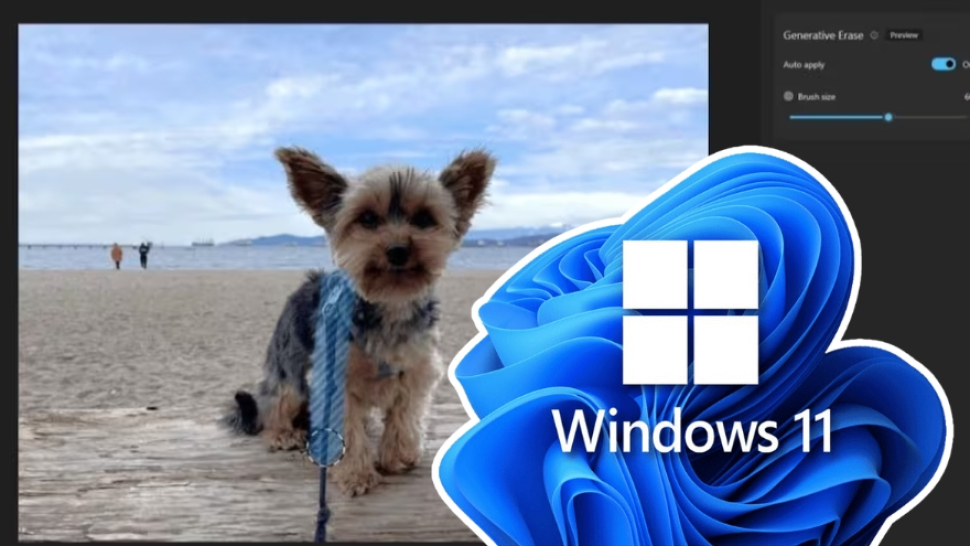 Ứng dụng ảnh Windows 11 có thể xóa chủ thể bằng AI