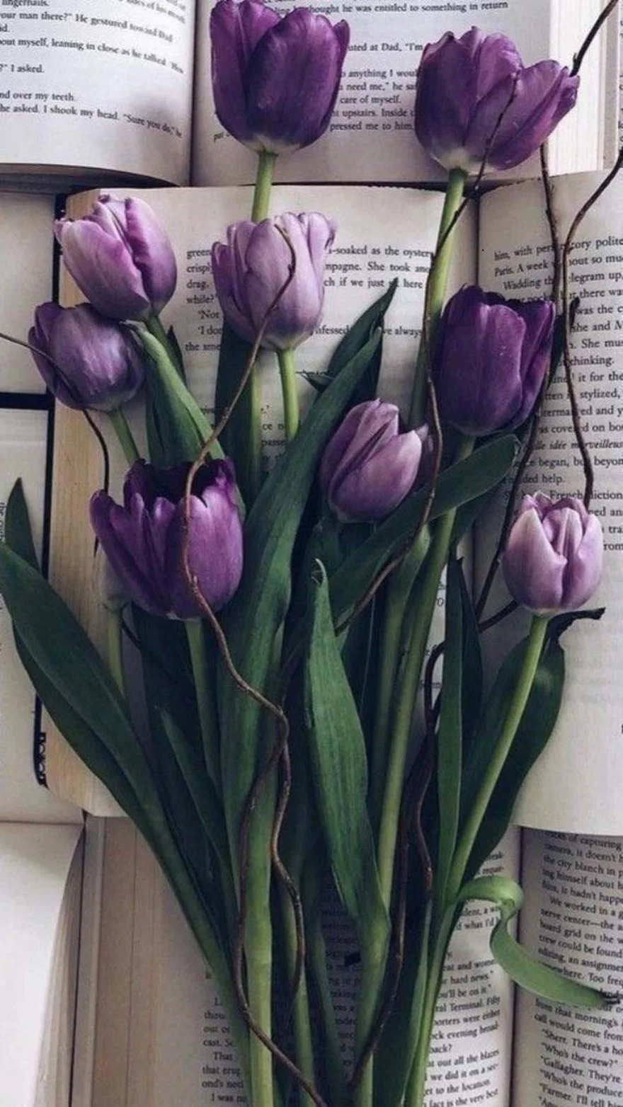 Hình nền hoa tulip đẹp rực rỡ cho điện thoại