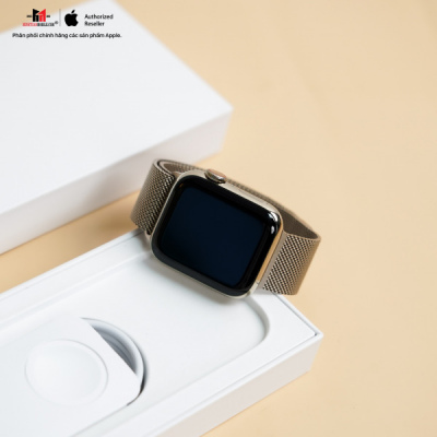 SGY6D - [KÈO THƠM] Apple Watch S6 Gold LTE 40mm Bản dây thép - Likenew - Chính Hãng VN/A (Hàng mẫu khui seal chụp hình, cáp chưa bung)