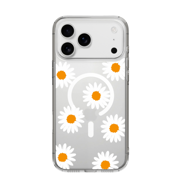 White Daisy