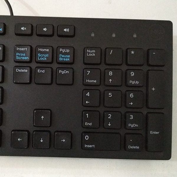 KB216 - Bàn phím máy tính Dell KB216 USB - 3