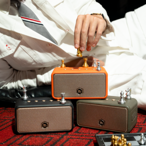 AW-W39ORGR - Loa Bluetooth Alpha Works AW-W39 - 13