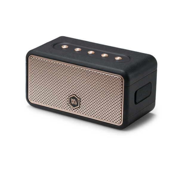 AW-W39ORGR - Loa Bluetooth Alpha Works AW-W39 - 5