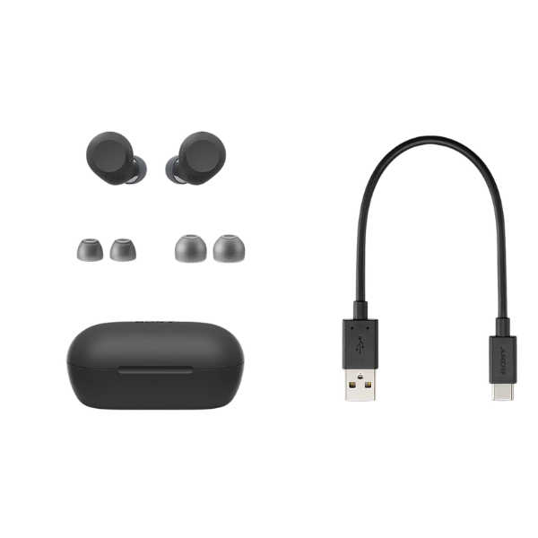 WF-C710N LZE - Tai nghe Bluetooth True Wireless Sony WF-C710N - 9