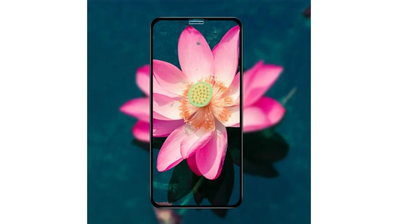 Cường lực iPhone 11 Pro Max Mipow Kingbull Premium Anti-Glare HD-BJ219-3