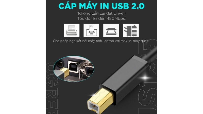 Cáp máy in USB 2.0 Ugreen US135-US135-10350-5