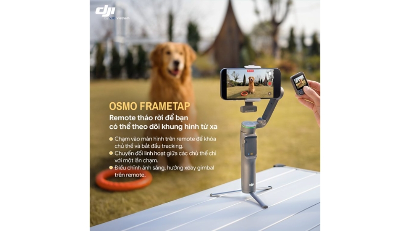 Gimbal DJI Osmo Mobile 8P Creator Combo-6937224142930-17