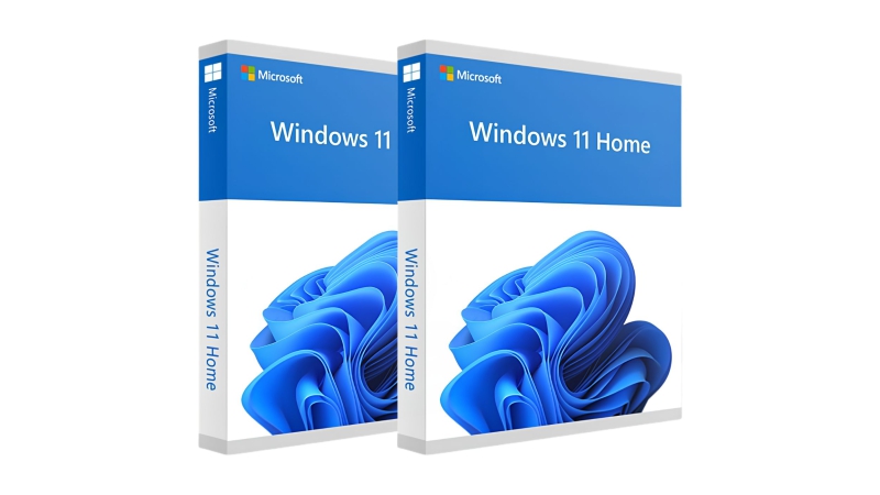 Phần mềm Windows 11 Home 64-bit (Vĩnh viễn 1 PC)-WD11H-3