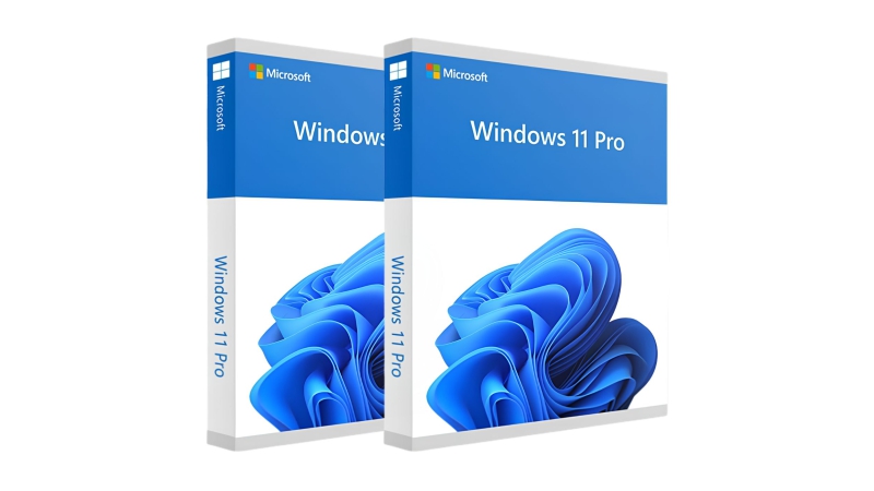 Phần mềm Windows 11 Pro 64-bit (Vĩnh viễn 1 PC)-WD11P-3