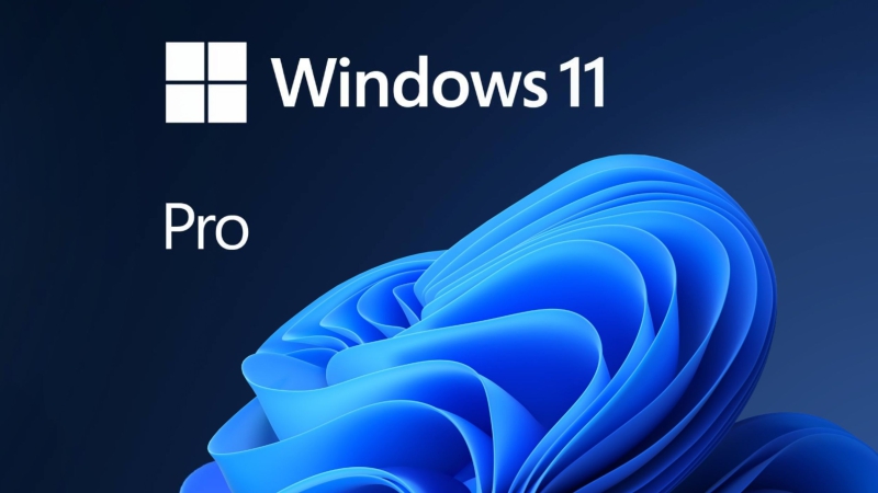 Phần mềm Windows 11 Pro 64-bit (Vĩnh viễn 1 PC)-WD11P-4
