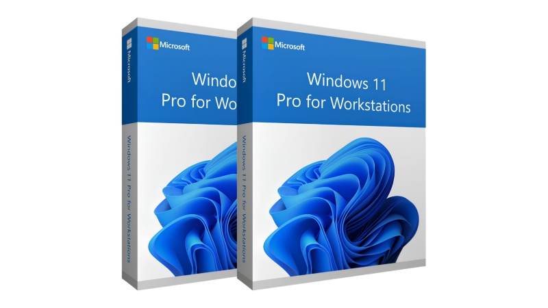 Phần mềm Windows 11 Pro for Workstations 64-bit (Vĩnh viễn 1 PC)-WD11PWS-3