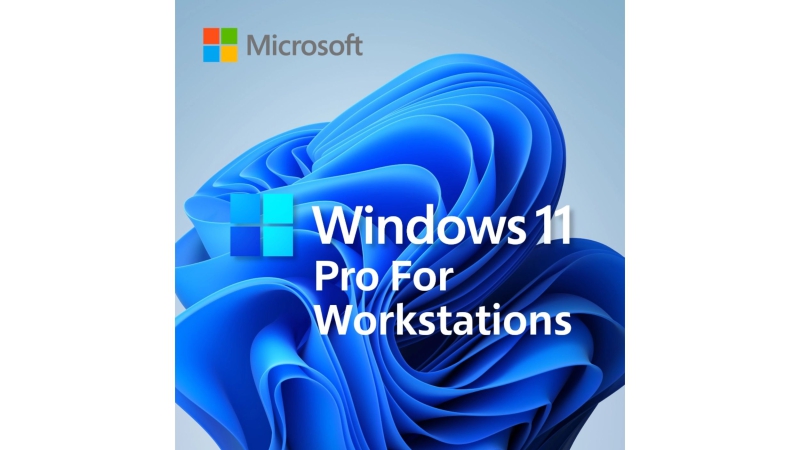 Phần mềm Windows 11 Pro for Workstations 64-bit (Vĩnh viễn 1 PC)-WD11PWS-2
