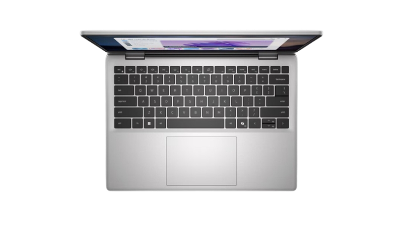 Laptop Dell 14 DC14255 DC4A5330W1 (Ryzen AI 5 330 16GB 512GB SSD 14 inch FHD+ Win 11 Office Microsoft 365 Basic 1Y Silver 2Y)-DC4A5330W1-Silver-5