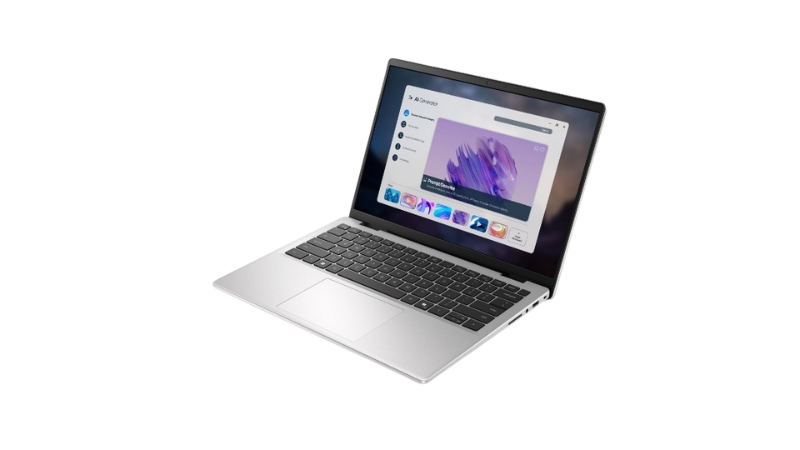 Laptop Dell 14 DC14255 DC4A5330W1 (Ryzen AI 5 330 16GB 512GB SSD 14 inch FHD+ Win 11 Office Microsoft 365 Basic 1Y Silver 2Y)-DC4A5330W1-Silver-2