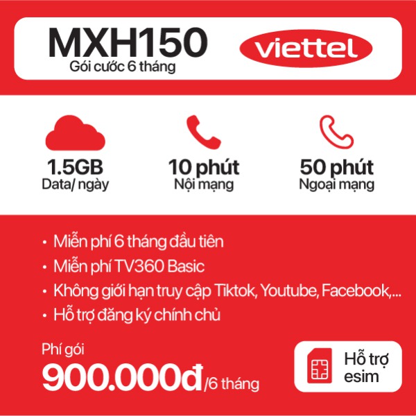 6 Tháng