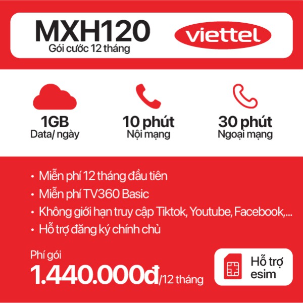 12 Tháng