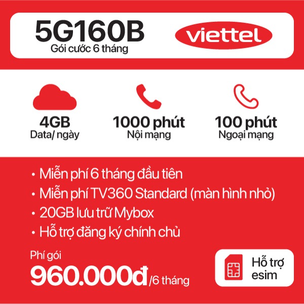 6 Tháng