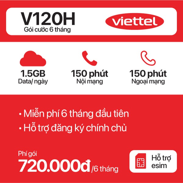 6 Tháng