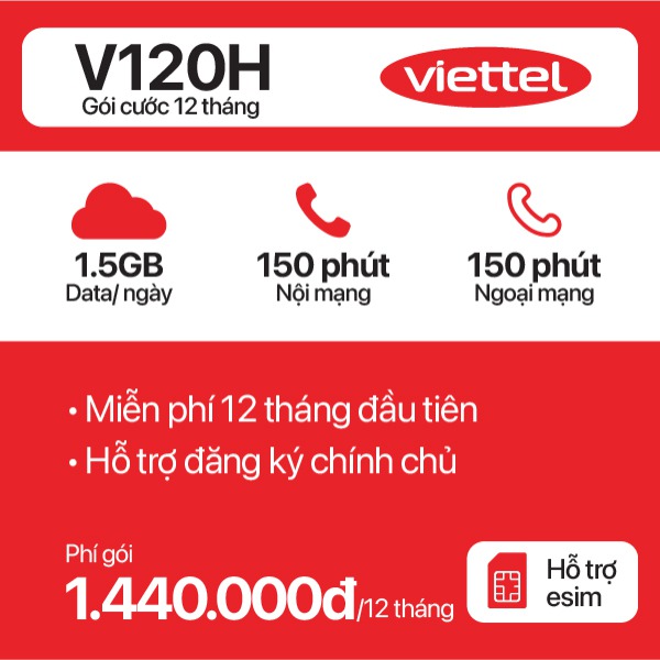 12 Tháng