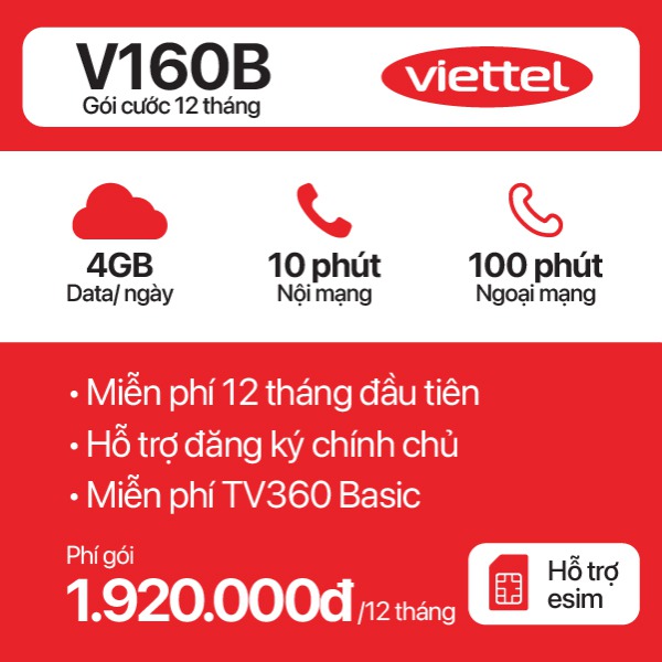 12 Tháng