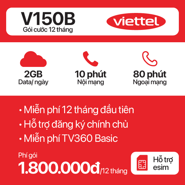 12 Tháng