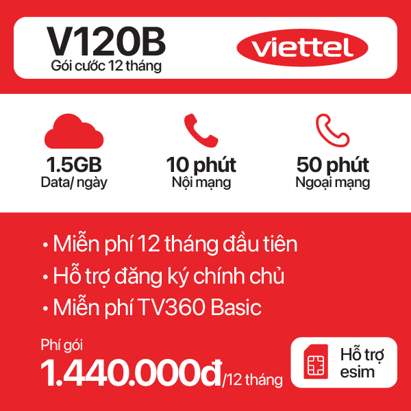 12 Tháng