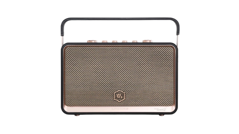 Loa Bluetooth Alpha Works W99 (kèm 2 micro)-AW-W99BLK-3
