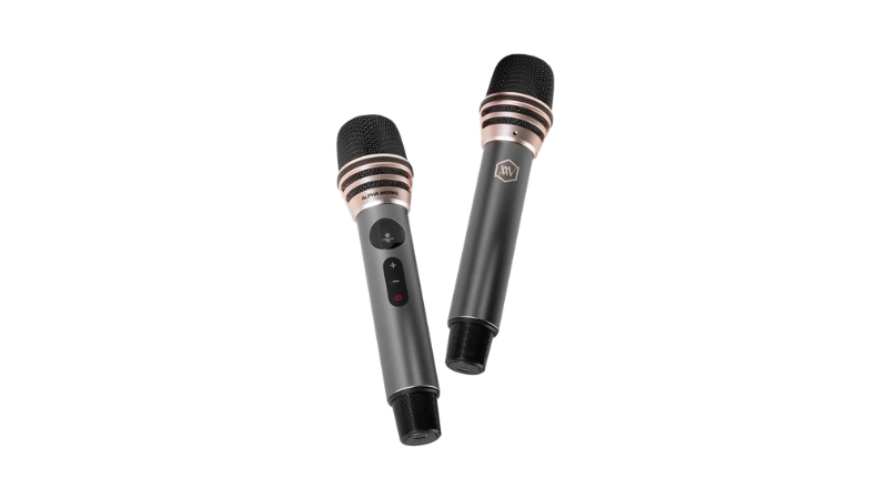 Loa Bluetooth Alpha Works W99 (kèm 2 micro)-AW-W99BLK-9