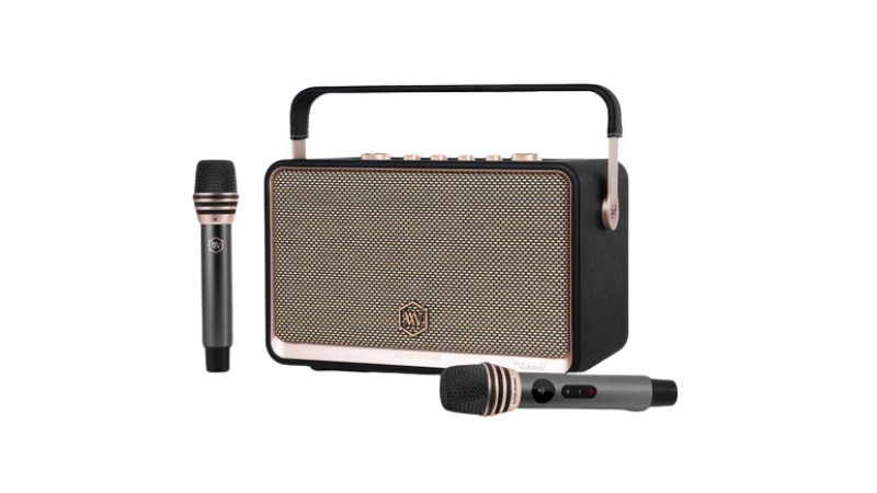 Loa Bluetooth Alpha Works W99 (kèm 2 micro)-AW-W99BLK-2
