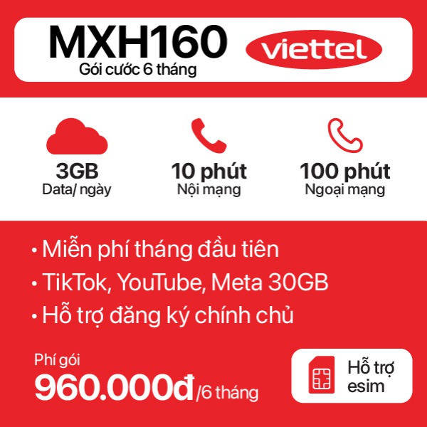 6 Tháng