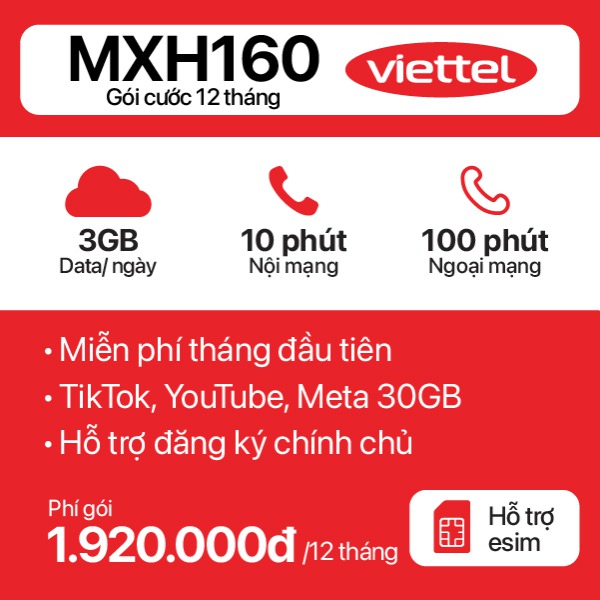 12 Tháng