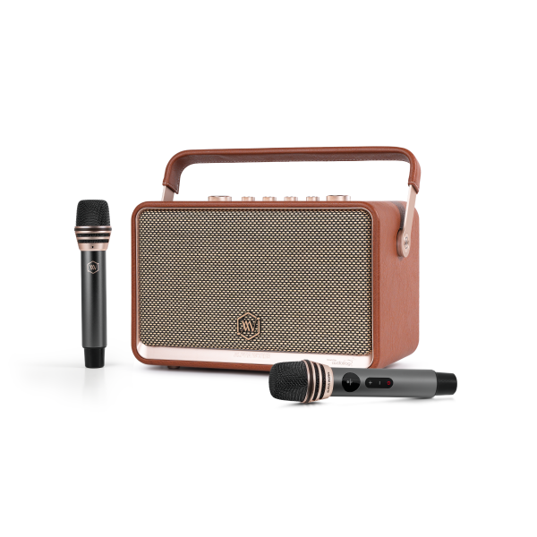 Loa Bluetooth Alpha Works W99 (kèm 2 micro)