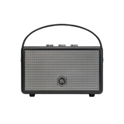 Loa Bluetooth Alpha Works W89