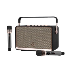 Loa Bluetooth Alpha Works W99 (kèm 2 micro)