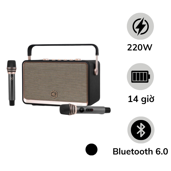 Loa Bluetooth Alpha Works W99 (kèm 2 micro)