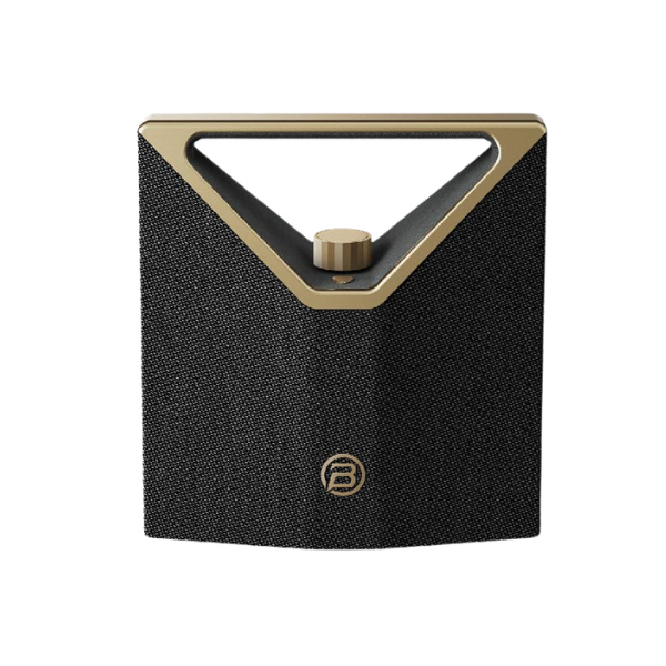 Loa Bluetooth Bugani Brief Pro